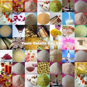 Gelatin